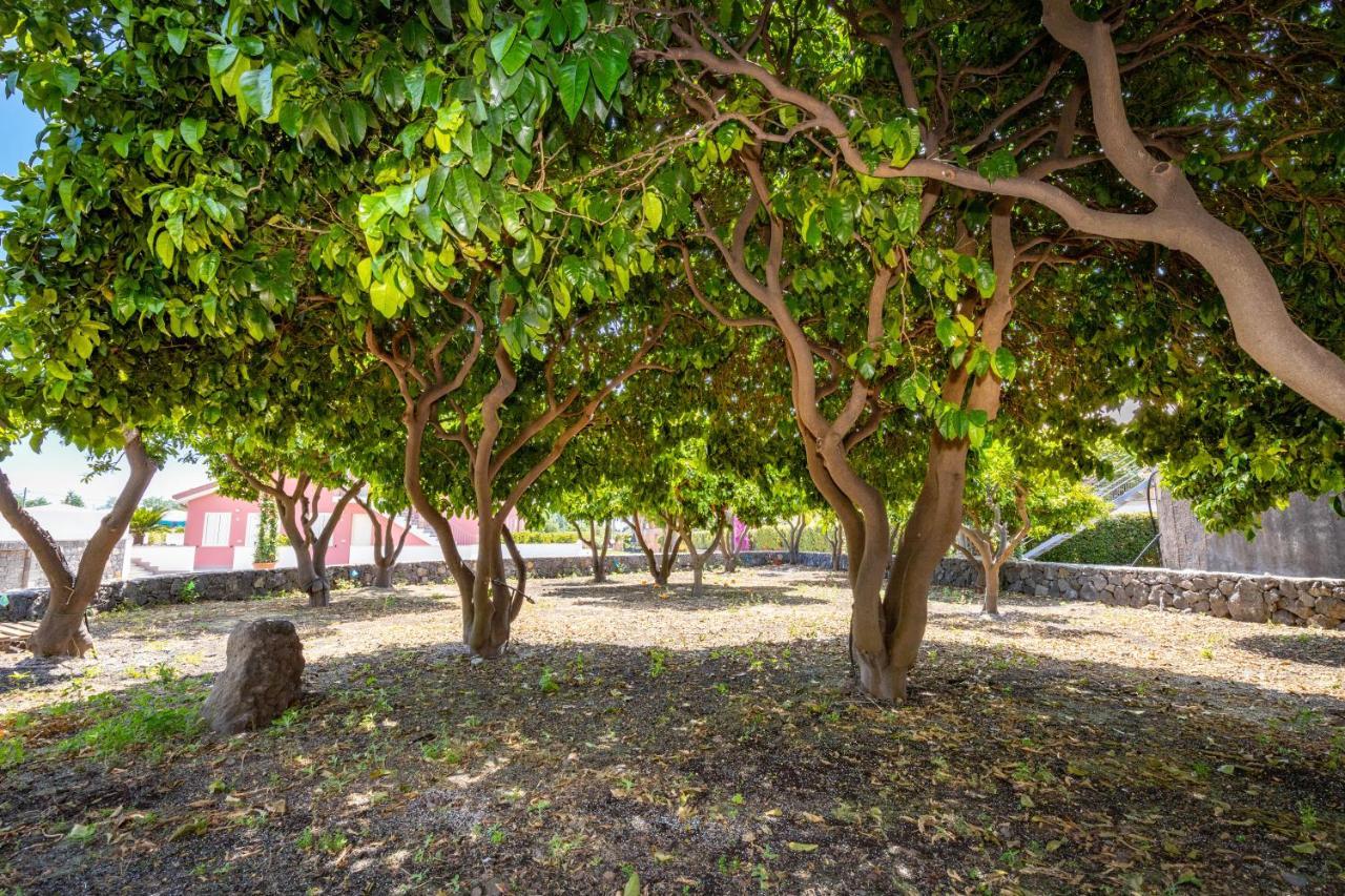 Dipladenia Garden Country Resort Mascali Exteriér fotografie